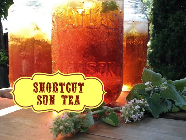 Shortcut Sun Tea - StowandTellU