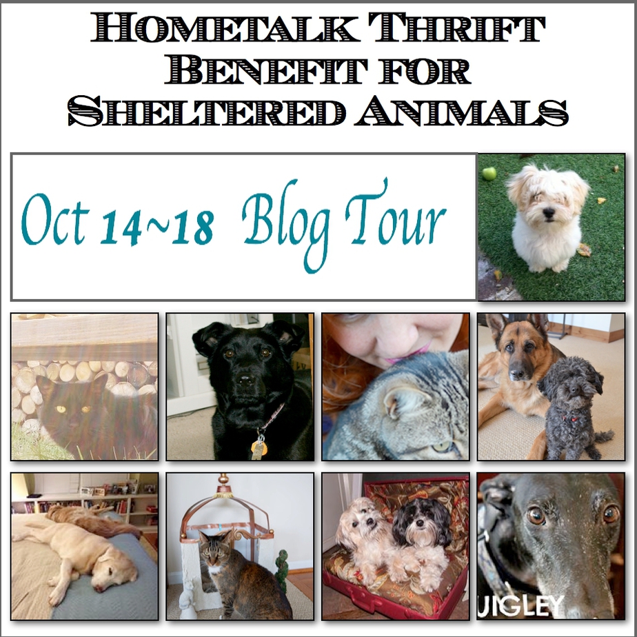 Hometalk Thrift Benefit Blog Tour